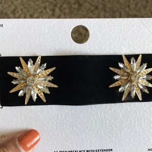 Chocker/necklace with extender